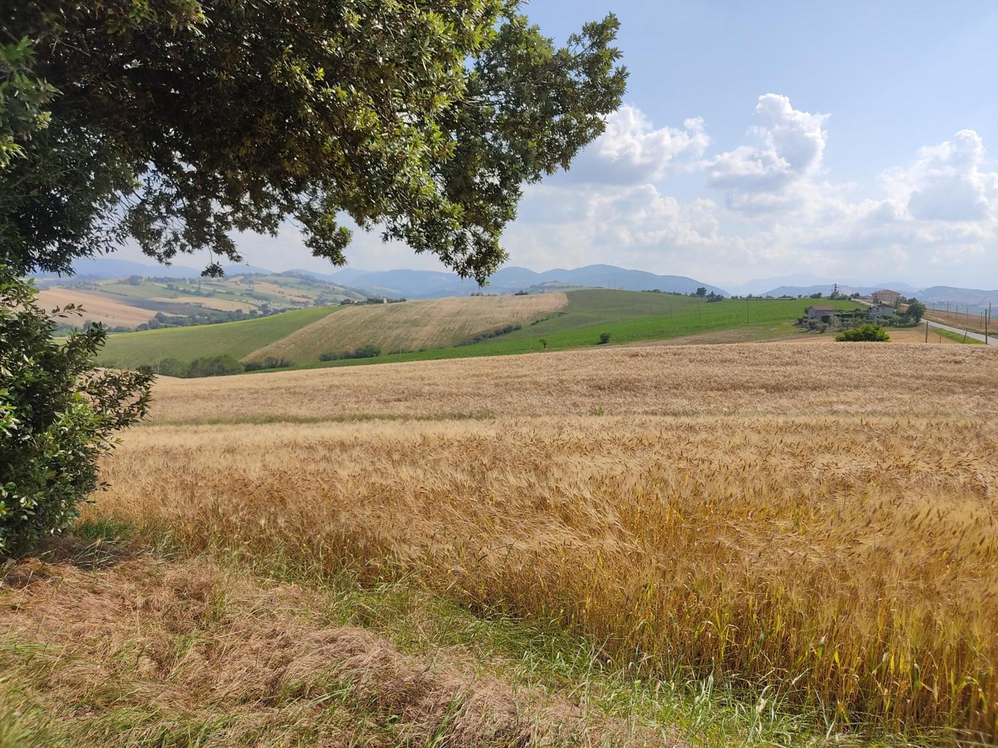 Casa Borgo Fonte Villa Castelleone di Suasa Екстериор снимка