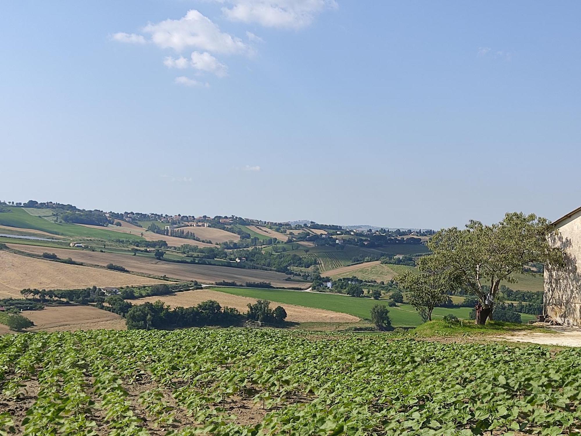 Casa Borgo Fonte Villa Castelleone di Suasa Екстериор снимка