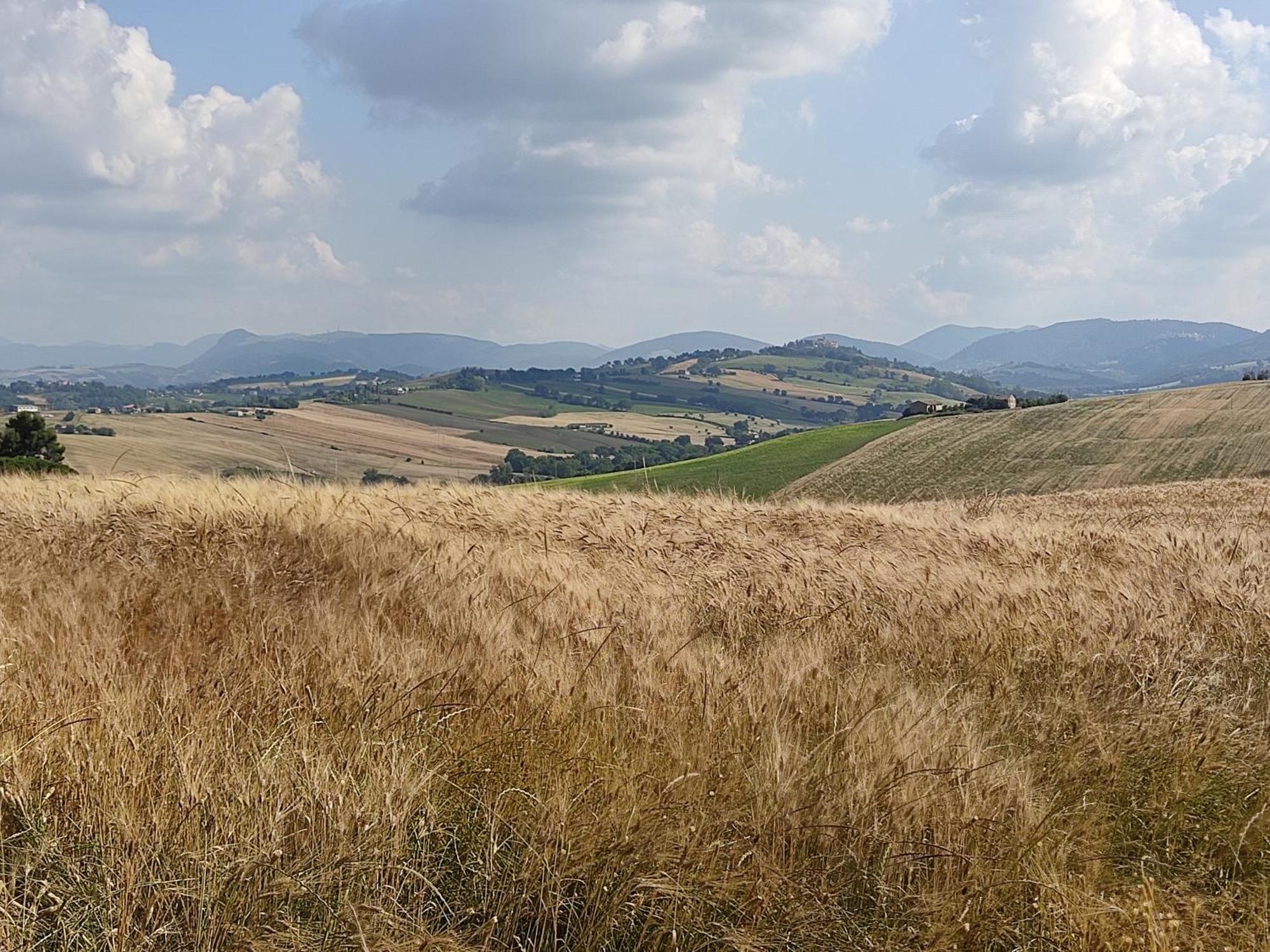 Casa Borgo Fonte Villa Castelleone di Suasa Екстериор снимка