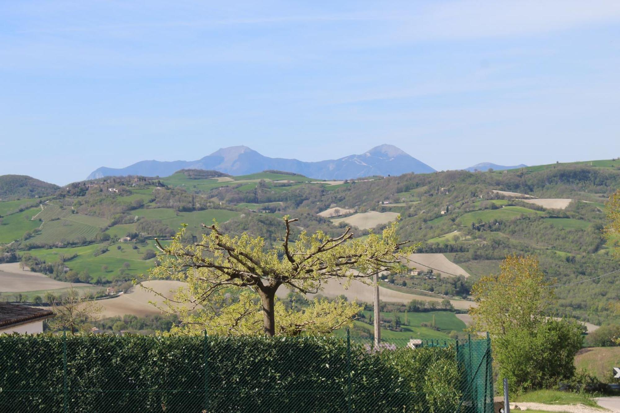 Casa Borgo Fonte Villa Castelleone di Suasa Екстериор снимка