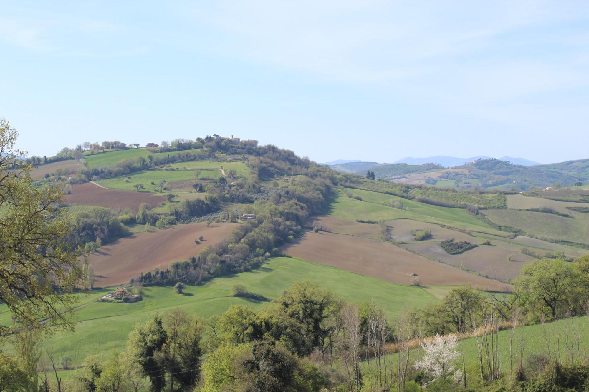 Casa Borgo Fonte Villa Castelleone di Suasa Екстериор снимка